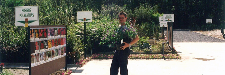 La Main verte, les origines