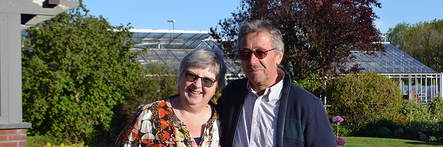 La Main verte, les origines